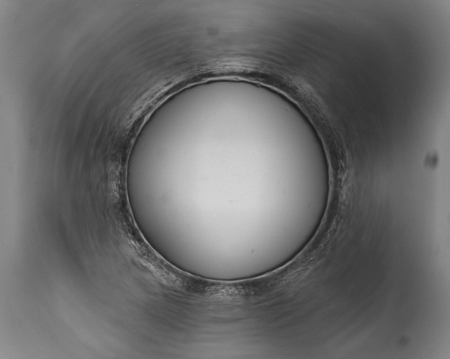 X0000115431217200911181452