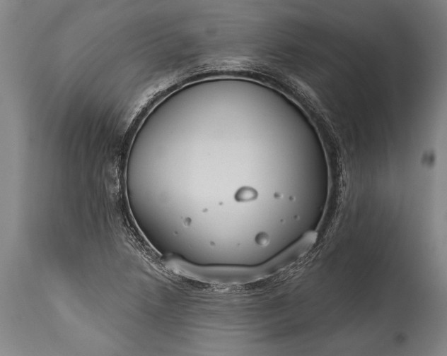 X0000115431218200911181452