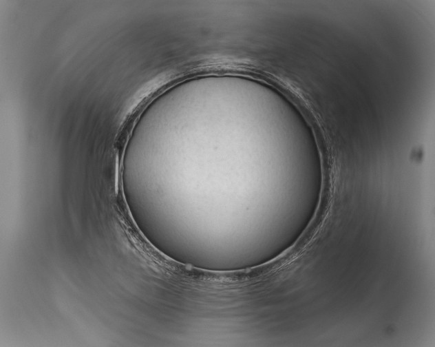 X0000115431219200911181452