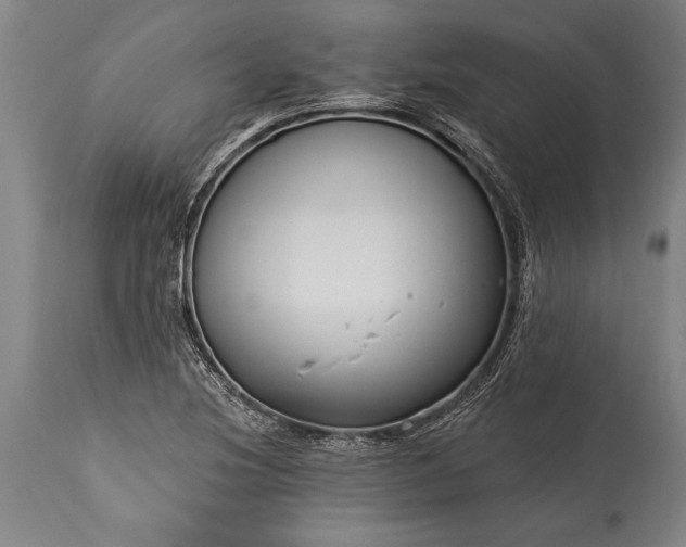 X0000115431220200911181452