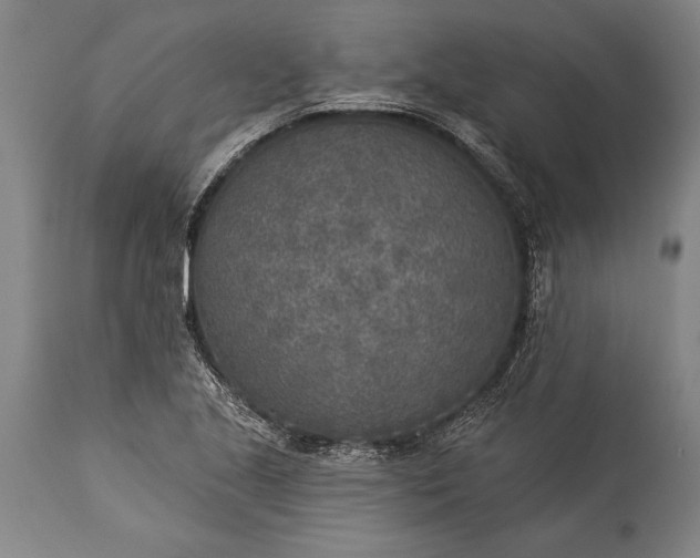 X0000115431221200911181453