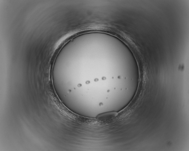 X0000115431222200911181453