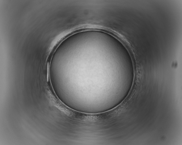 X0000115431223200911181453