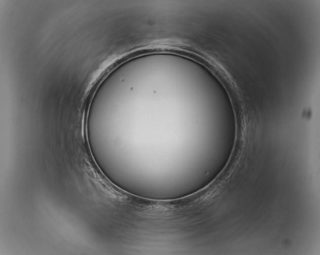 X0000115431224200911181453