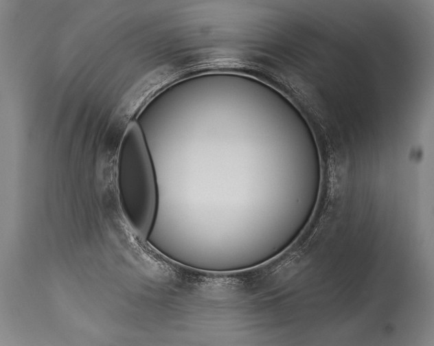 X0000115431225200911181453