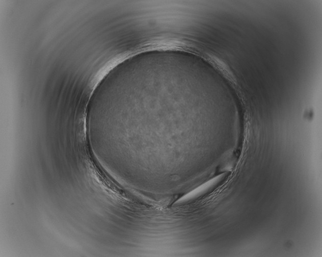 X0000115431226200911181453