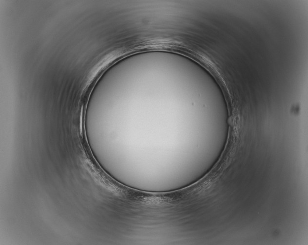 X0000115431227200911181453