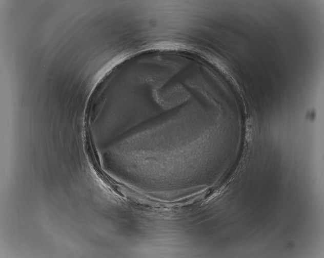 X0000115431229200911181453