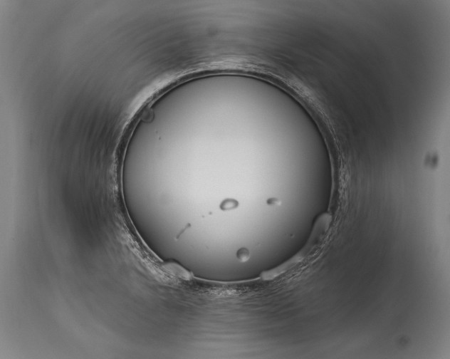 X0000115431230200911181453