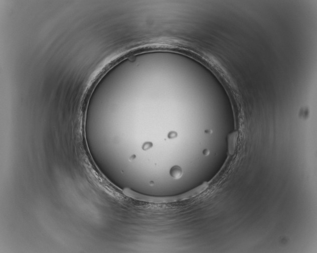 X0000115431232200911181453