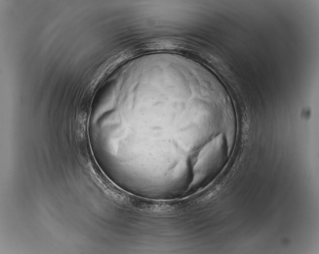 X0000115431233200911181453