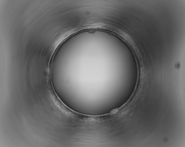 X0000115431234200911181453