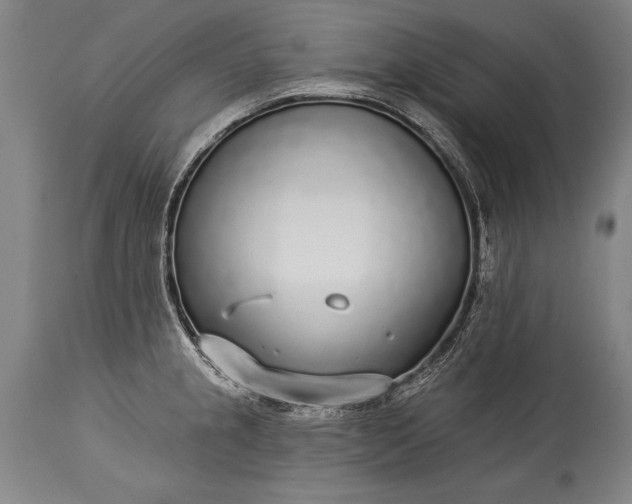 X0000115431237200911181453