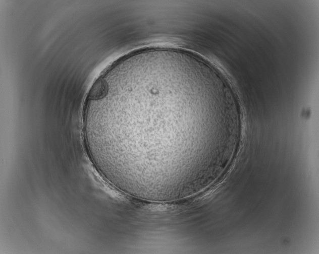 X0000115431240200911181453