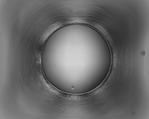 X0000115431241200911181453