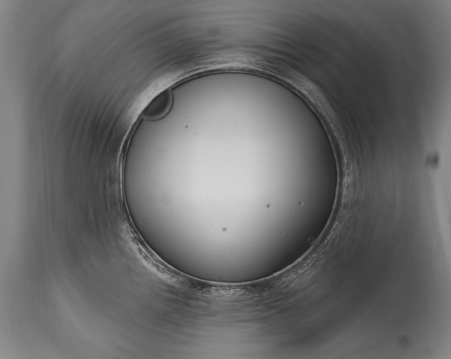 X0000115431242200911181453