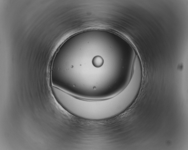 X0000115431243200911181453