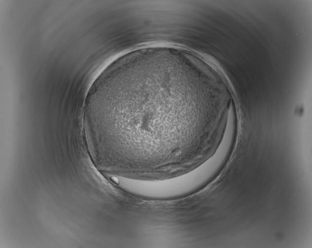 X0000115431244200911181453