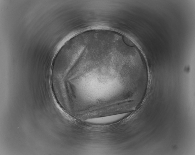 X0000115431245200911181453