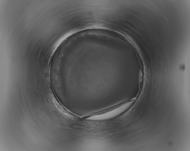 X0000115431246200911181453