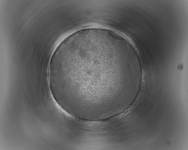 X0000115431247200911181453