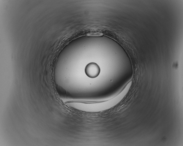 X0000115431249200911181452