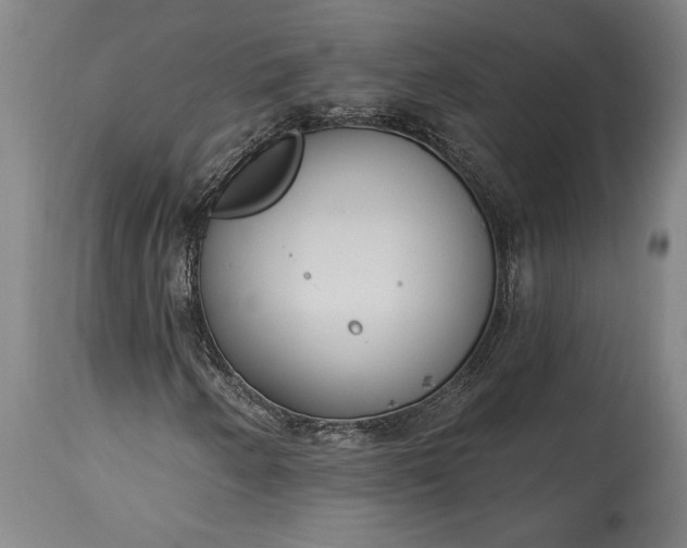 X0000115431250200911181452