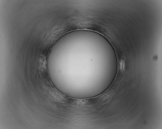 X0000115431251200911181452