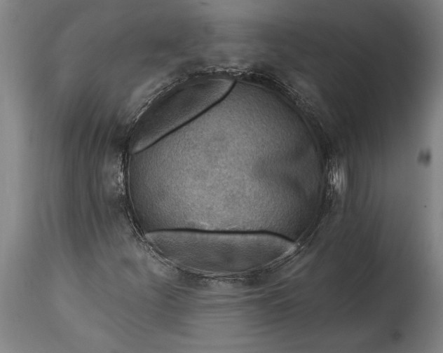 X0000115431252200911181452