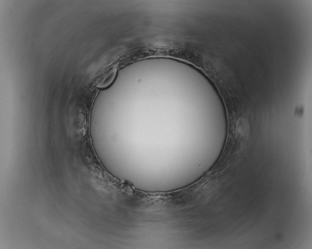 X0000115431253200911181452