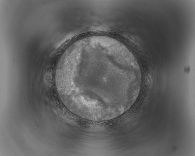 X0000115431254200911181452