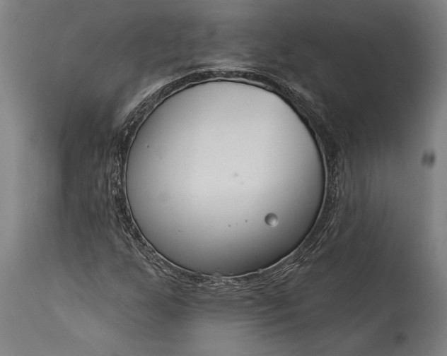 X0000115431255200911181452