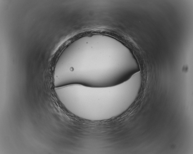 X0000115431256200911181452