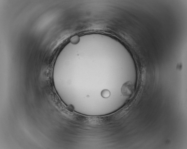 X0000115431258200911181452