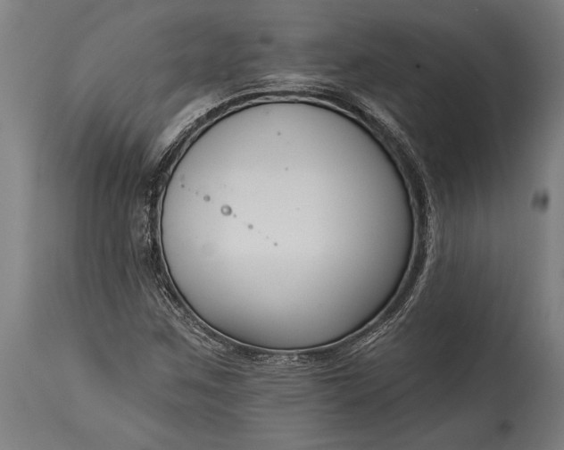 X0000115431259200911181452