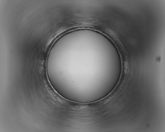 X0000115431260200911181452