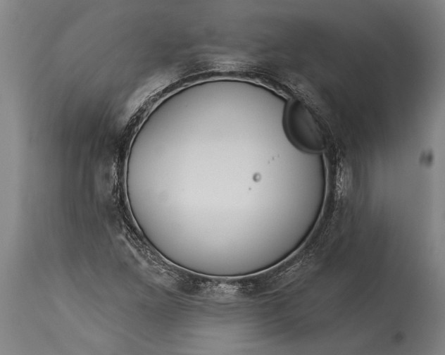 X0000115431261200911181452