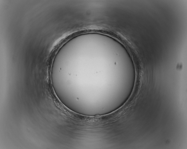 X0000115431262200911181452