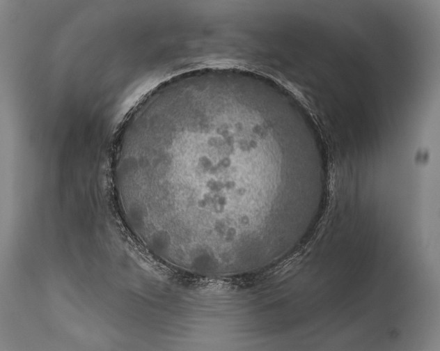 X0000115431263200911181452