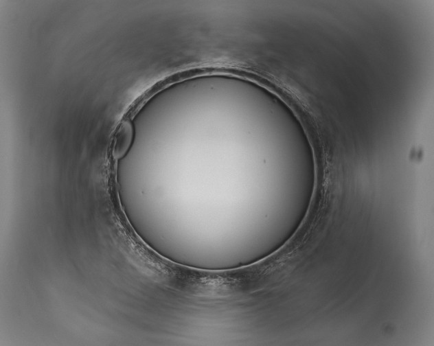 X0000115431264200911181452