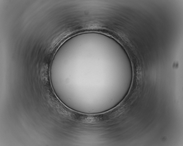 X0000115431265200911181452