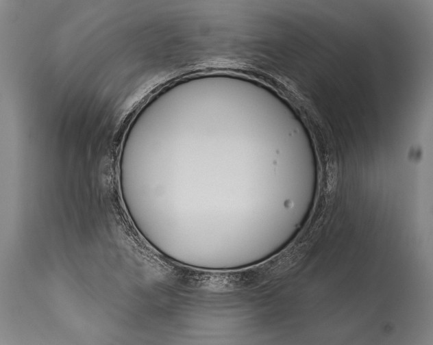 X0000115431266200911181452