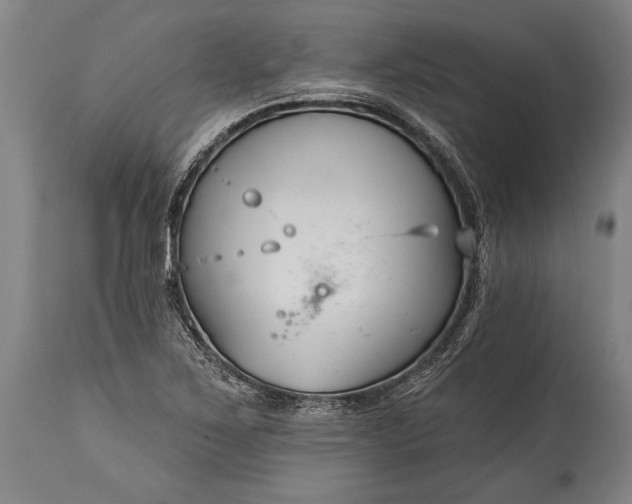 X0000115431267200911181452