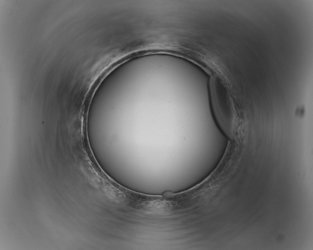 X0000115431268200911181452