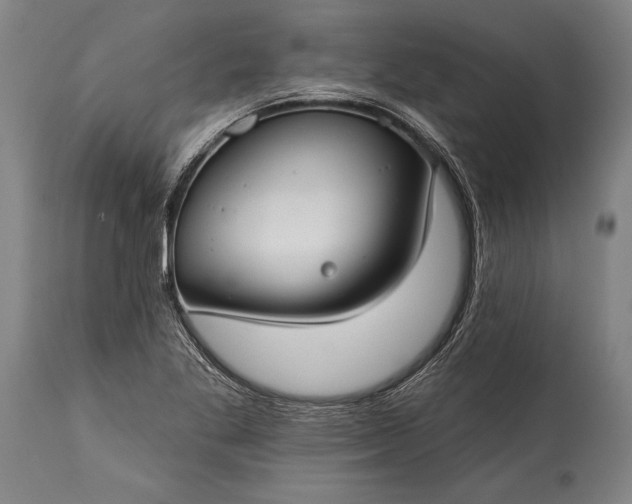 X0000115431269200911181452