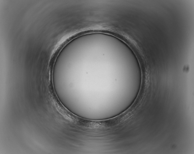 X0000115431270200911181452