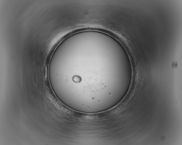 X0000115431271200911181452