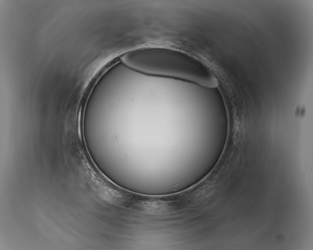 X0000115431272200911181452