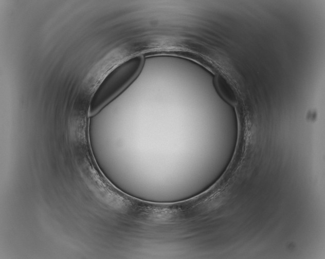 X0000115431273200911181452