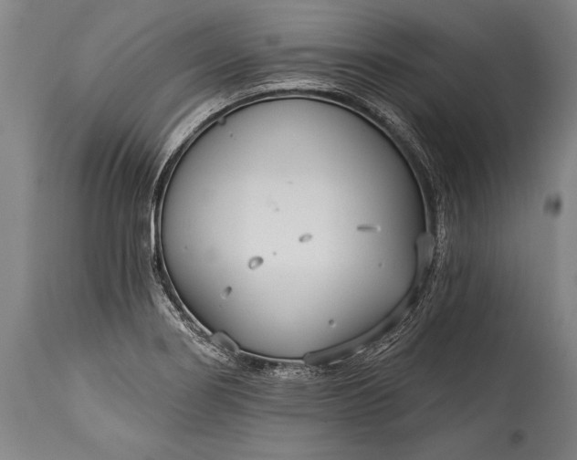 X0000115431274200911181452